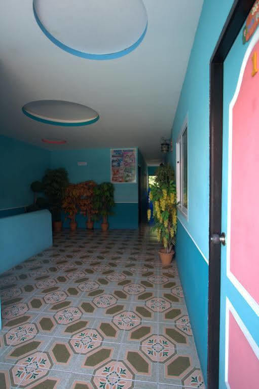 Mania Guesthouse タオ島 エクステリア 写真